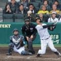 阪神　野手転向の西純矢が決勝タイムリー！１５４キロを執念の中前打で甲子園が大歓声　新助っ人ルーカスは３回無失点で開幕ローテ前進