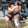 幕下・吉井が初白星　弟弟子の幕下最下位格付け出しデビューの不動豊は同級生で「切磋琢磨したい」