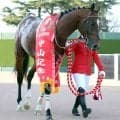 【注目馬動向】レーベンスティールは大阪杯予定も選択肢広げるために香港・クイーンエリザベス２世カップにも登録