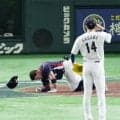 【WBC】23年チェコ戦は日本が10－２快勝　死球与えた佐々木朗希がお菓子贈り謝罪／VTR