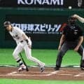 【WBC】チェコ代表の貴公子チェルベンカにSNS夢中「チェルベンカ様ー」「世界一イケメン」