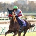 【注目馬動向】昨年Ｖダノンデサイルはドバイ・シーマクラシックを回避　大阪杯へ　安田翔伍調教師が発表