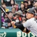 阪神、嶋村麟士朗を支配下登録「ここからがスタート」　OP戦打率.545…背番号「85」
