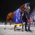【船橋・ダイオライト記念注目馬】ダートグレード競走最長のダ2400m 砂のスタミナ比べを制すのは