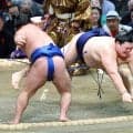 横綱・大の里が休場　自身初の初日から３連敗で苦渋の決断、休場は２場所ぶり２度目