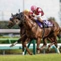 【高松宮記念想定】ウインカーネリアン、ソンシなど17頭