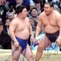 藤ノ川が初顔合わせで横綱・豊昇龍をはたき込んで２日連続の金星　横綱初挑戦からは２０１４年大砂嵐以来２人目…荒れる春場所