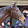 【アネモネＳ】新馬勝ちから臨む良血ルールザウェイヴは仕上がり上々も…　宮田調教師「まだ成長途上」