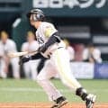 【ソフトバンク】広瀬隆太「勝負の年」代打で２ラン　開幕生き残りへアピール