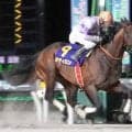 【ダイオライト記念】「兵庫最強馬として、ここにきた」吉村智洋騎手が会心騎乗で７番人気オディロン大金星