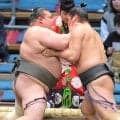 【大相撲】東海大柔道部出身・岡田、新幕下で３連勝　勝ち越し王手も「ここからです」