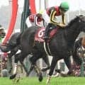 【金鯱賞出走馬・騎手確定】クイーンズウォーク＆川田将雅騎手、ジョバンニ＆松山弘平騎手など14頭