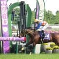２４年の天皇賞・春を勝ったテーオーロイヤルが現役引退　イーストスタッドで種牡馬入りへ