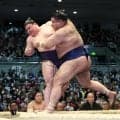 無傷５連勝！関脇高安「理想の相撲」一回り下の義ノ富士を圧倒　前頭隆の勝とトップ並走