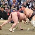 元大関・朝乃山が３勝目　左目を痛めるも６日目の取組には影響ない見込み