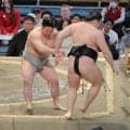 東十両２枚目の朝翠龍が西ノ龍との大阪出身対決制す　新十両も同タイミング　２勝３敗で「中盤へリセットする」