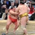 十両・嘉陽が３勝目　わずか１か月半で体重が１７２→１８１キロにリバウド　「昨日はデザートのピザのつもりが…」