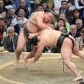 関脇・霧島が１敗守る　天敵・大の里休場も「考える暇ない」