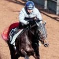 【岩田康誠の熱血！！競馬道】つきっきりのコンタクトで仕上げたアスクエジンバラにかける思い　「勝たないといけない」