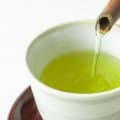 緑茶はダイエットに効果ある？カテキンと体脂肪の関係を専門家が解説