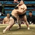 左膝大けがから復帰２場所目の生田目が無傷３連勝「今は助走期間。無駄じゃない」と飛躍期す