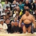 大相撲　６日目で全勝力士消える　高安も連勝５でストップ　隆の勝も黒星