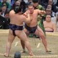 豊昇龍が５勝目　平戸海に勝つ…大の里休場、一人横綱の意地で横綱初優勝を目指す