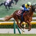 【ファルコンS想定馬・騎手】ダイヤモンドノット、タマモイカロスなど19頭