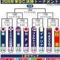 【WBC】カナダ・ソロカが米国戦先発「チェスのような試合になる」メジャー７年目の経験生かす