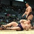 義ノ富士が霧島に敗れ４敗目「力出し切れなかった」立ち合い合わず…「力はあり余っている」