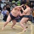 若ノ勝、２場所連続十両Ｖへ無傷６連勝「場所前の稽古のおかげ」