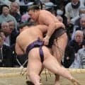 関脇・霧島が１敗で首位並ぶ　「待った」かと勘違いもすかさず上手投げ