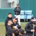 阪神・平田２軍監督　今年も１軍に戦力送り出す　１４日ファーム開幕「いい緊張感で迎えられる」