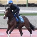 【金鯱賞】上り馬ヴィレムが短期免許１週目のディー騎手と重賞初制覇へ　藤原調教師「乗れるジョッキー」