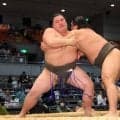 まげを落として再起力士　無傷４連勝で勝ち越し決める「心配かけたが自分にできることは勝つこと」【大相撲春場所】