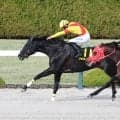 【阪神１１Ｒ・コーラルＳ】ジャスティンアースが直線で抜けだしオープン初勝利　吉村誠之助騎手「強かったですね」