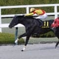【コーラルS】ジャスティンアースがオープン初勝利…人気のビダーヤは2着
