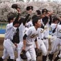春季東京都1次予選、15日は府中東、小山台などが都立勢に注目！【26年春高校野球】
