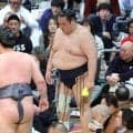 友風が５敗目　「勝ち急いでしまった感じですね。残り８日　特に変わることなく、やれることをやります」
