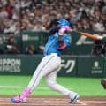 【日本ハム】主砲レイエス“お目覚め”26年実戦１号　左中間席中段に「いいタイミング」確信弾