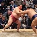高安が行司の木村晃之助と大栄翔を相次いで土俵下へ　１敗守り優勝争いトップ並走