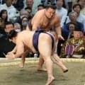 関脇・霧島が１敗で首位守る　頭からぶつかり「一瞬くらっとなった」