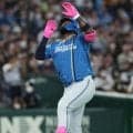 日本ハムが大勝　ＯＰ戦単独首位キープ　レイエス先制、水谷満塁弾、矢沢ダメ押しソロで大勝　先発細野は六回途中１失点の好投