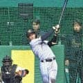 阪神・ドラ１立石　実戦デビュー秒読み　入団後初ライブＢＰで柵越え２発　フリー打撃は４９スイング１０発