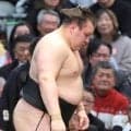 ４敗でも「２場所連続優勝の可能性」は残した安青錦　なぜ綱取り絶望的なのか？　粂川審判長の「全部勝っても優勝ラインではない」ひもとく