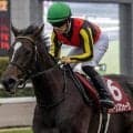 金鯱賞は1番人気を信頼 前走4-9着馬が好成績で注目