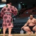 旭富士が現役最重量252キロの出羽ノ城を下手投げ　序ノ口デビューから12連勝