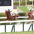 【阪神３Ｒ・３歳未勝利】セイウンバジリスクが鮮やかに逃げ切りＶ　秋山稔樹騎手「やっと勝てましたね。馬に感謝です」