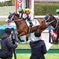 【阪神６Ｒ・３歳１勝クラス】シーミハットクが半馬身差で封じる　高杉吏麒騎手「途中からリズム良く走ってくれました」