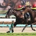 【中山１０Ｒ・東風Ｓ】昨年のフローラＳ２着以来のヴァルキリーバースが差し切りＶ　ルメール騎手「きょうは能力で勝った」